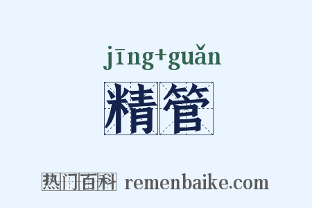 精管是什么意思的图片
